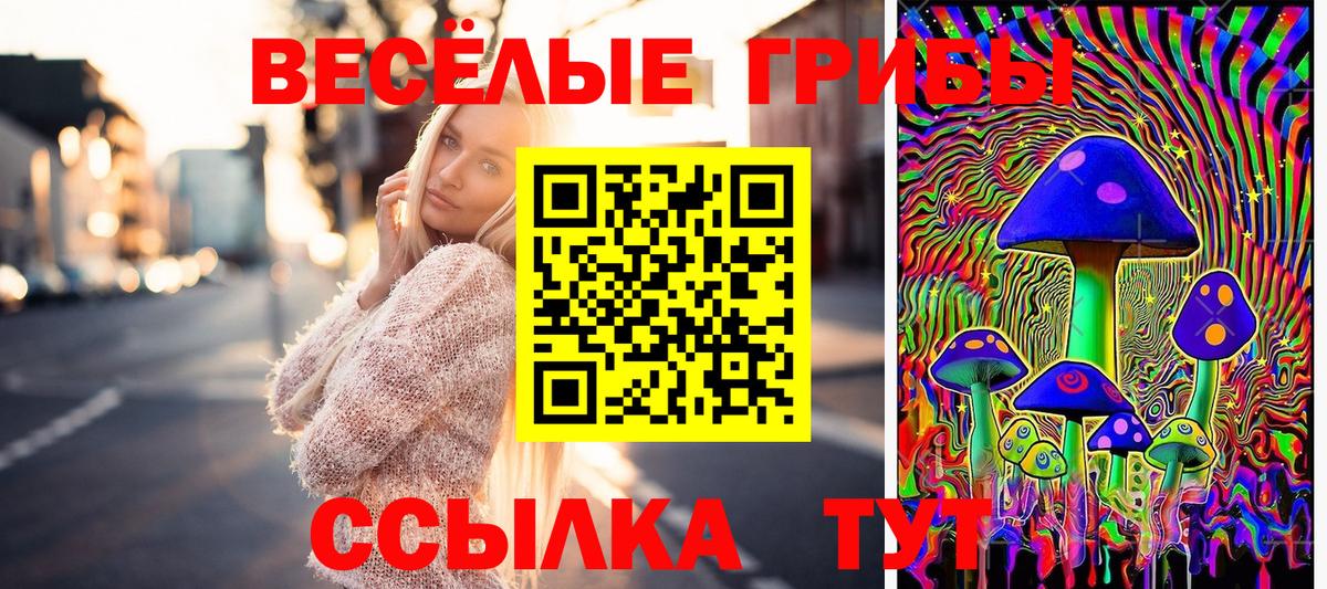 Галлюциногенные грибы Cubensis Торжок