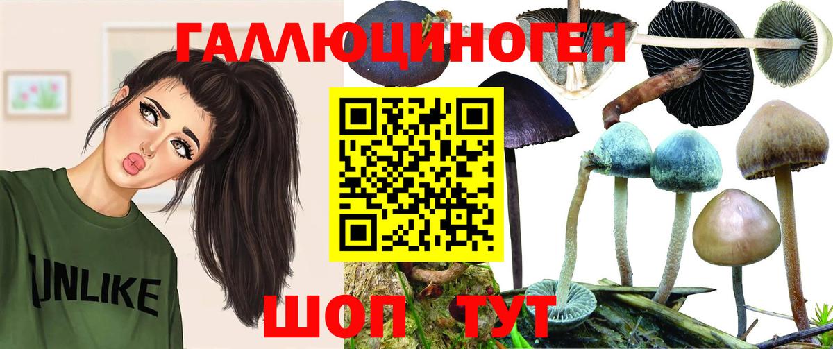 наркотики  Галлюциногенные грибы Magic Shrooms  Вход с VPN  Торжок 
